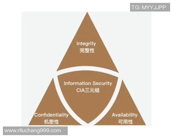 专业解析LNG盯防策略的关键要素与实战应用分析 专业解析LNG盯防策略的关键要素与实战应用分析